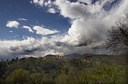 IMG_3787
