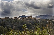 IMG_3788