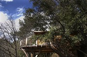 IMG_3791_1