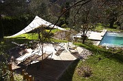 IMG_3795_1