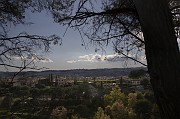 IMG_3802_1