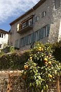 IMG_3823_1