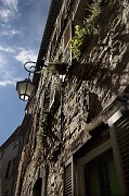IMG_3835-2
