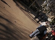 IMG_3876_5