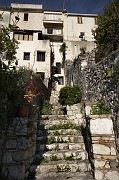 IMG_3882