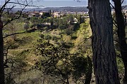 IMG_3885_2