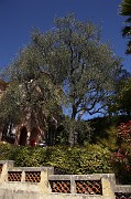 IMG_3896_1