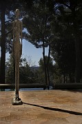 IMG_3899_1