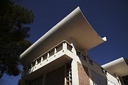 IMG_3900_1