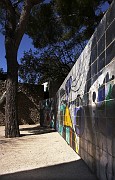 IMG_3907_1