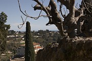 IMG_3915
