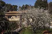 IMG_3918_1
