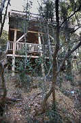 IMG_3931_2