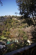 IMG_3933_2