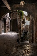 IMG_3945