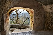 IMG_3951_5