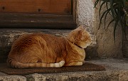 IMG_3953