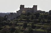 IMG_3961