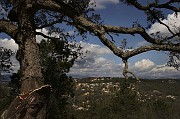 IMG_3967