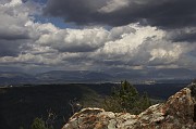 IMG_3978