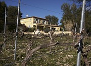 IMG_4020