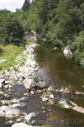 CRW_4131 * 2052 x 3076 * (7.34MB)