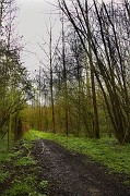 IMG_4091