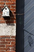 IMG_4123