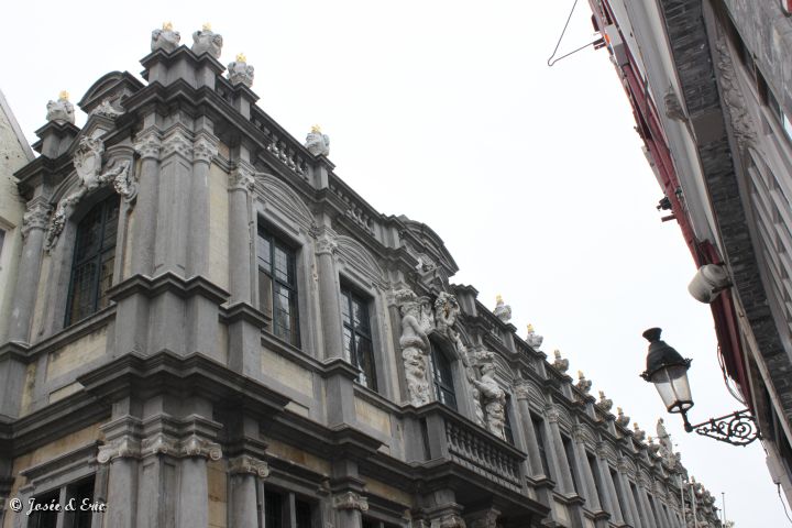 IMG_7806.JPG