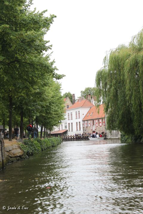 IMG_7866.JPG