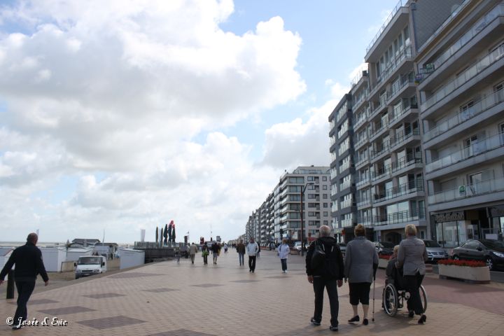IMG_7907.JPG