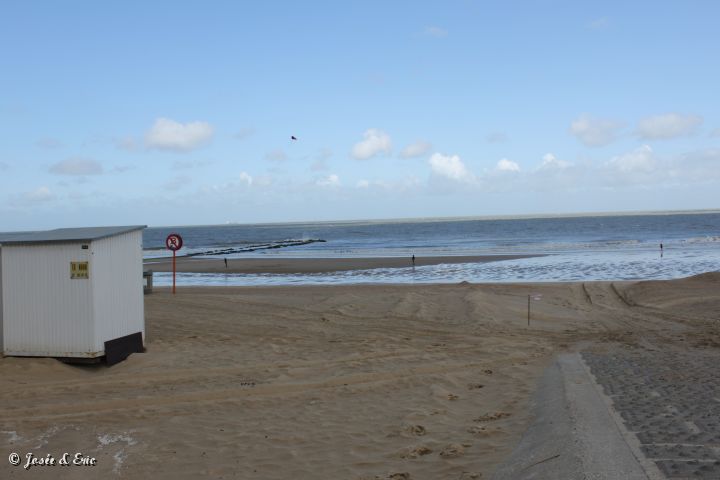 IMG_7922.JPG