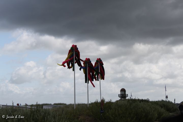 IMG_7925.JPG