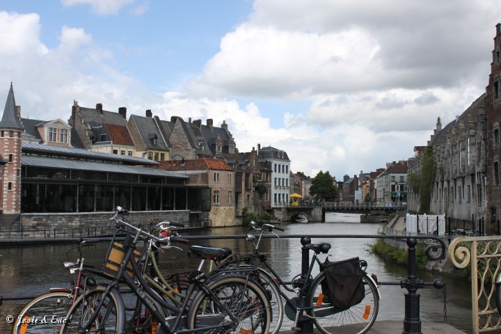 IMG_7949.JPG