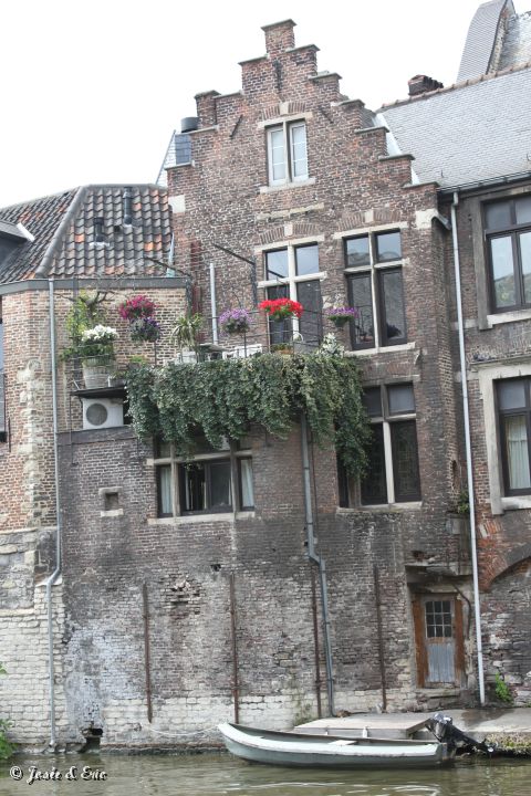 IMG_7978.JPG