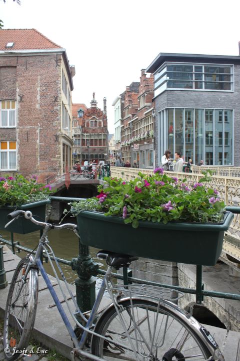 IMG_8001.JPG