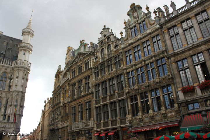 IMG_8034.JPG
