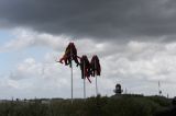IMG_7925