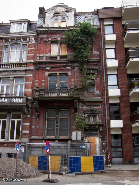 IMG_1303.jpg - La maison dans l'arbre.