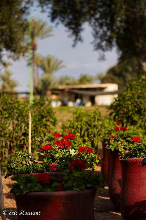 IMG_7106.jpg
