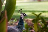 IMG_7158
