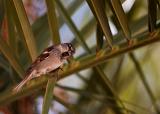 IMG_7174
