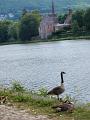 IMG_0514