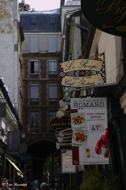 IMG_8690.jpg