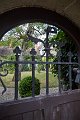 IMG_5488