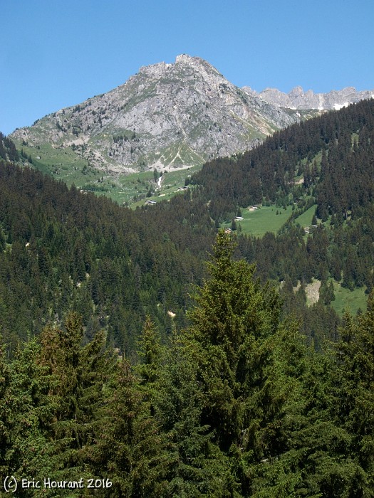 IMG_5048.jpg