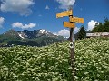 IMG_5047