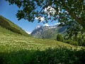 IMG_5049