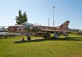 IMG_5780