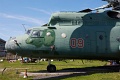 IMG_5806
